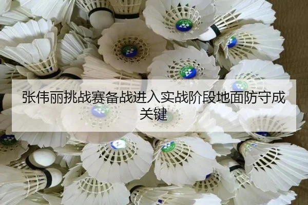 张伟丽挑战赛备战进入实战阶段地面防守成关键